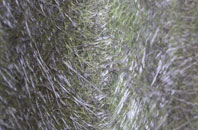 Standeford fibreglass roof work